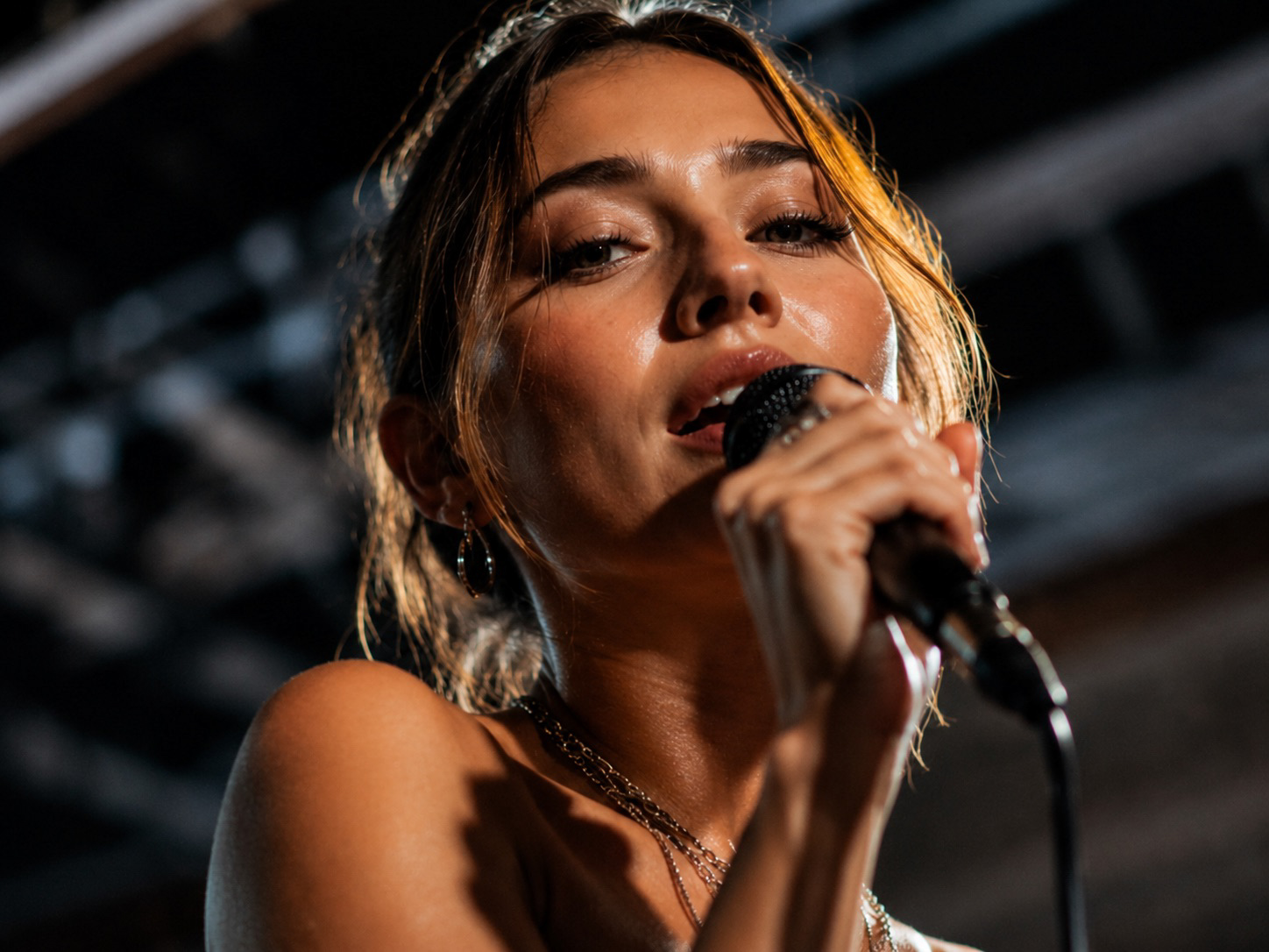lihovar-concert-singer-microphone-detail