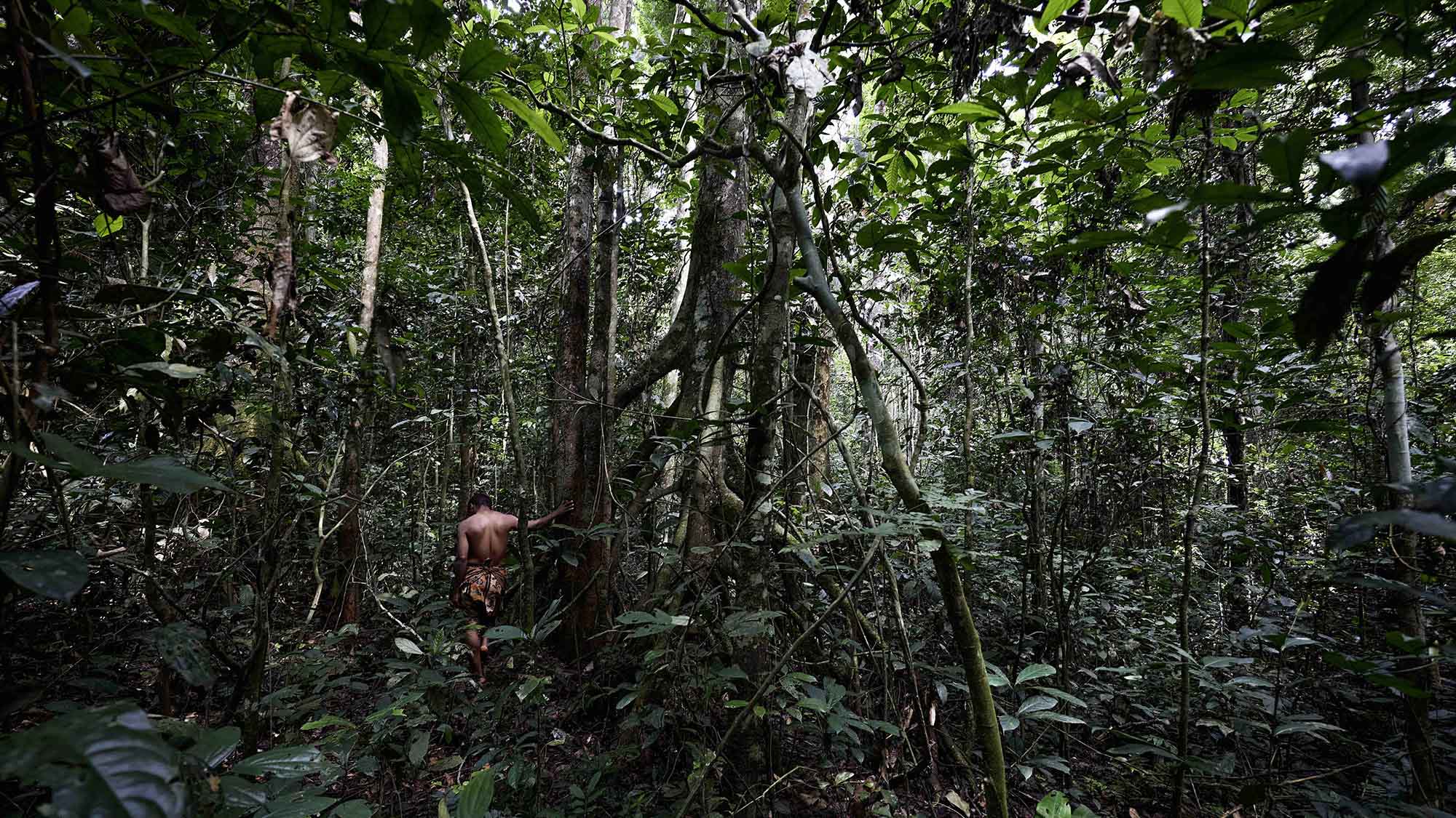 lihovar-gallery-documentary-photography-rainforest