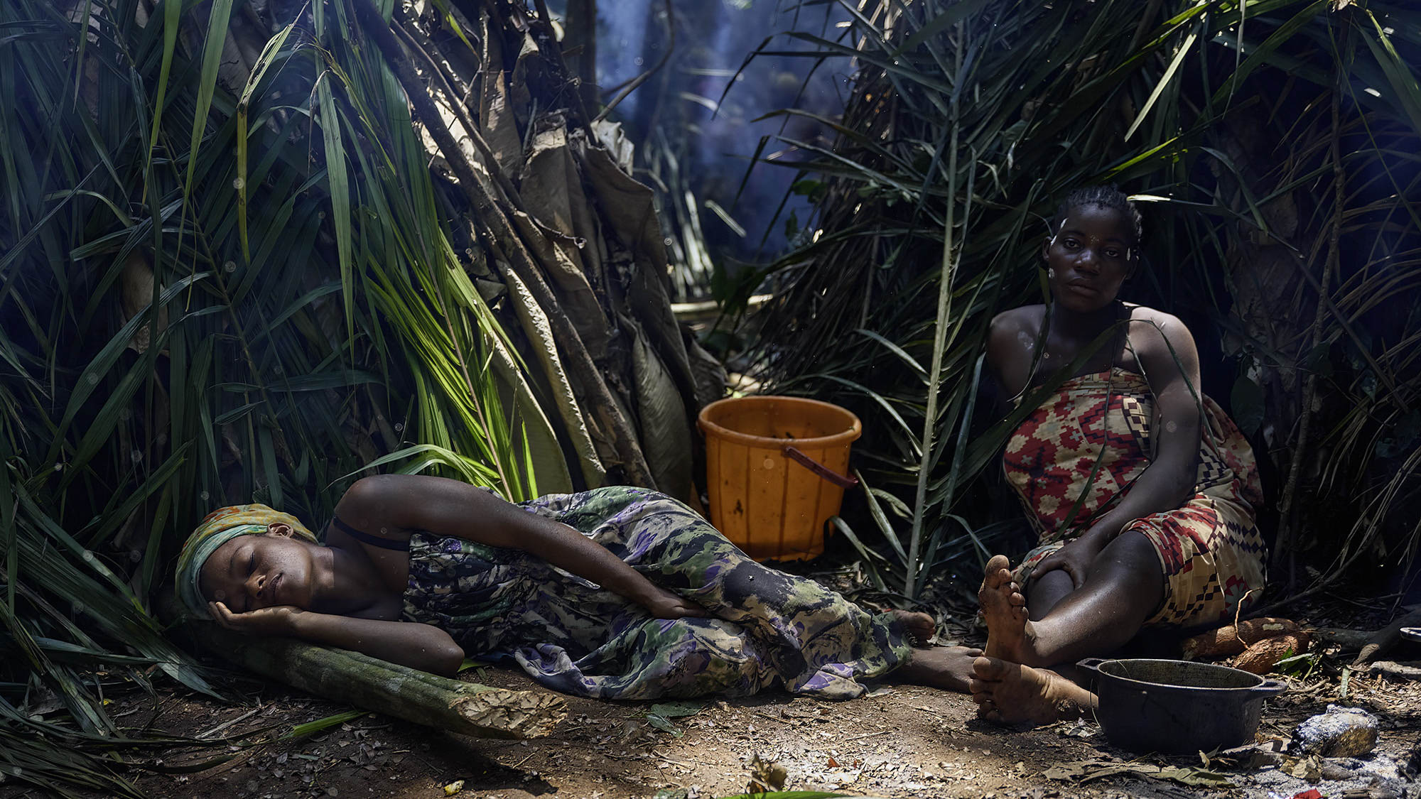 lihovar-gallery-documentary-rainforest-resting